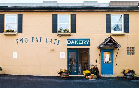 two fat cats bakery in maine